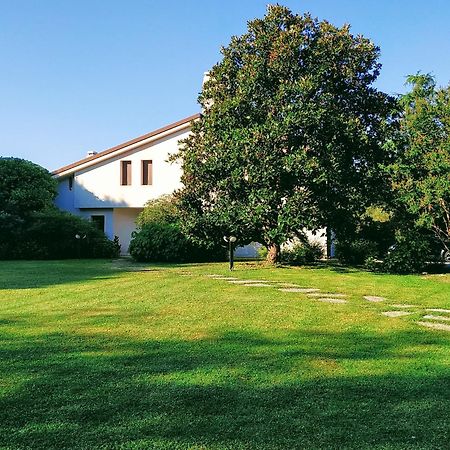 B&B Villa Elisa Motta di Livenza Exterior foto