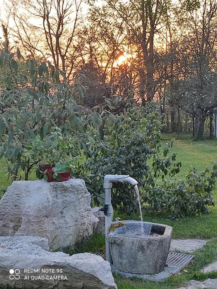 B&B Villa Elisa Motta di Livenza Exterior foto